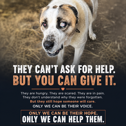 Feed a Rescue Dog